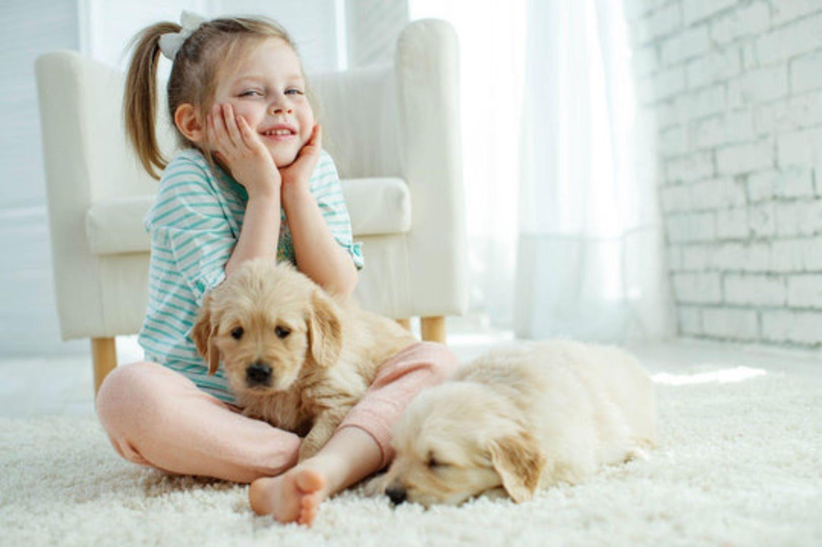 How To Clean Carpet Stains